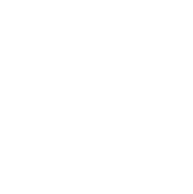 citylight_logo_light